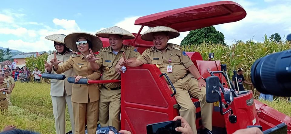 Bersama Gubernur Sulut Yasti Lakukan Panen Jagung dan Padi Sawah