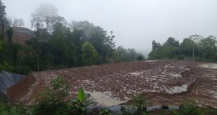 Aktivitas PETI Oboy Ancam Kelestarian Hutan, APH Diminta Turun